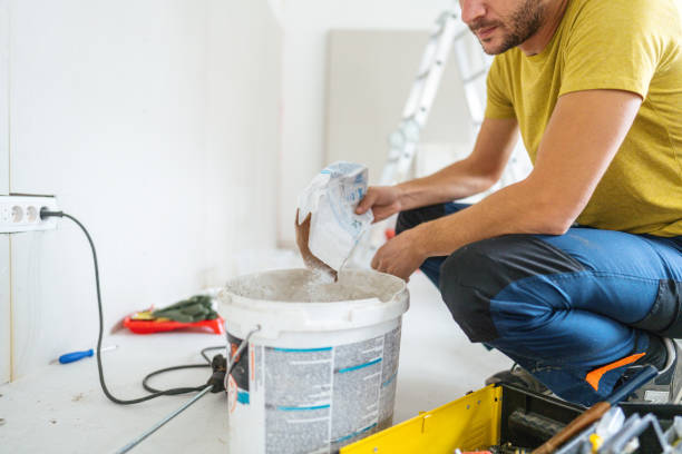 Best Attic Mold Removal  in Hudsonville, MI