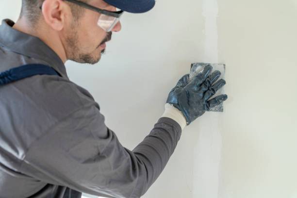 Reliable Hudsonville, MI Mold Removal Solutions