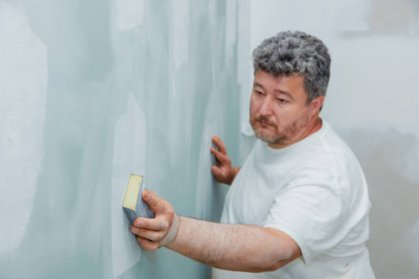Best Mold Remediation for Vacation Homes  in Hudsonville, MI