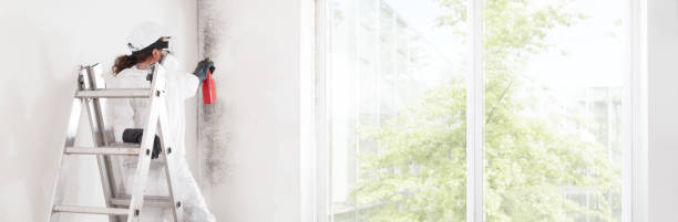 Best Indoor Air Quality Assessment  in Hudsonville, MI