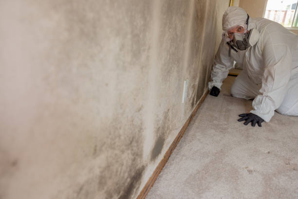 Best Air Quality Testing for Mold Spores  in Hudsonville, MI