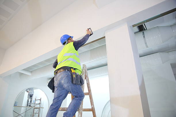 Best Mold Odor Removal Services  in Hudsonville, MI