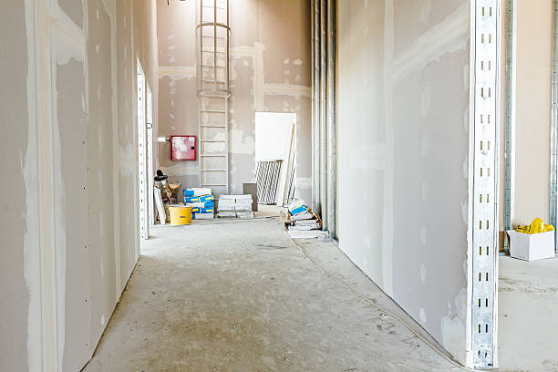 Best Mold Remediation for Healthcare Facilities  in Hudsonville, MI